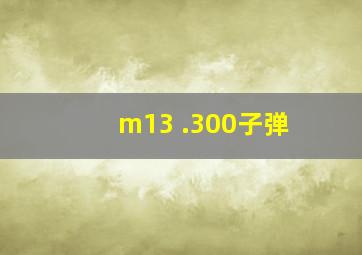 m13 .300子弹